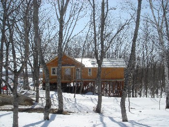 f0020302_14273530.jpg
