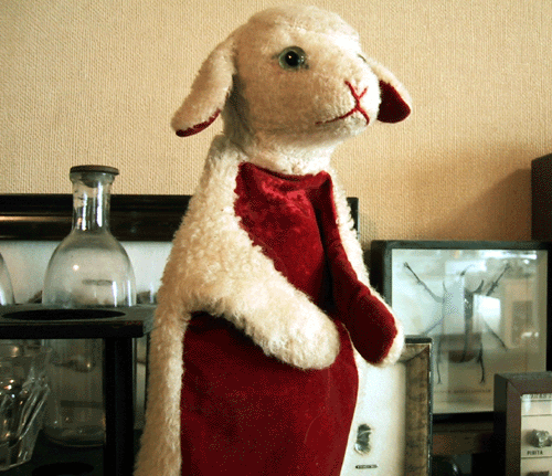 d0015006_16571269.gif