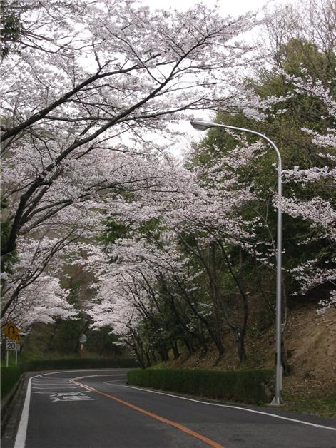 a0041508_20393599.jpg