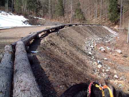 e0001110_6424993.jpg