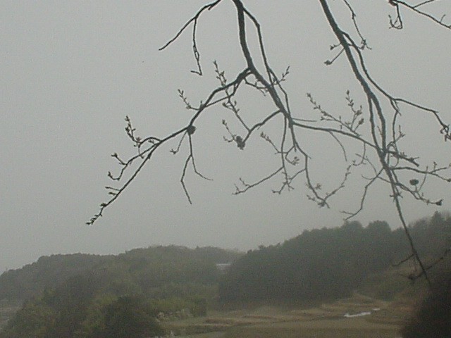 d0004627_21391863.jpg
