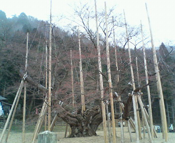 f0095830_17103043.jpg