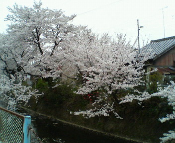 f0095830_17173267.jpg