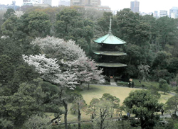 b0035734_21575060.jpg