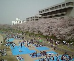 a0055835_20164797.jpg