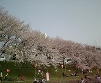 a0055835_201736.jpg