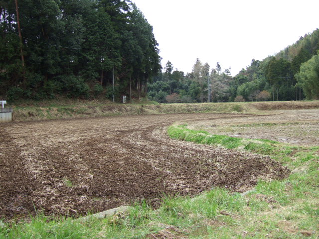 f0020837_0165371.jpg