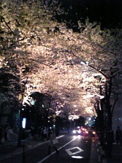 f0006939_1240419.jpg