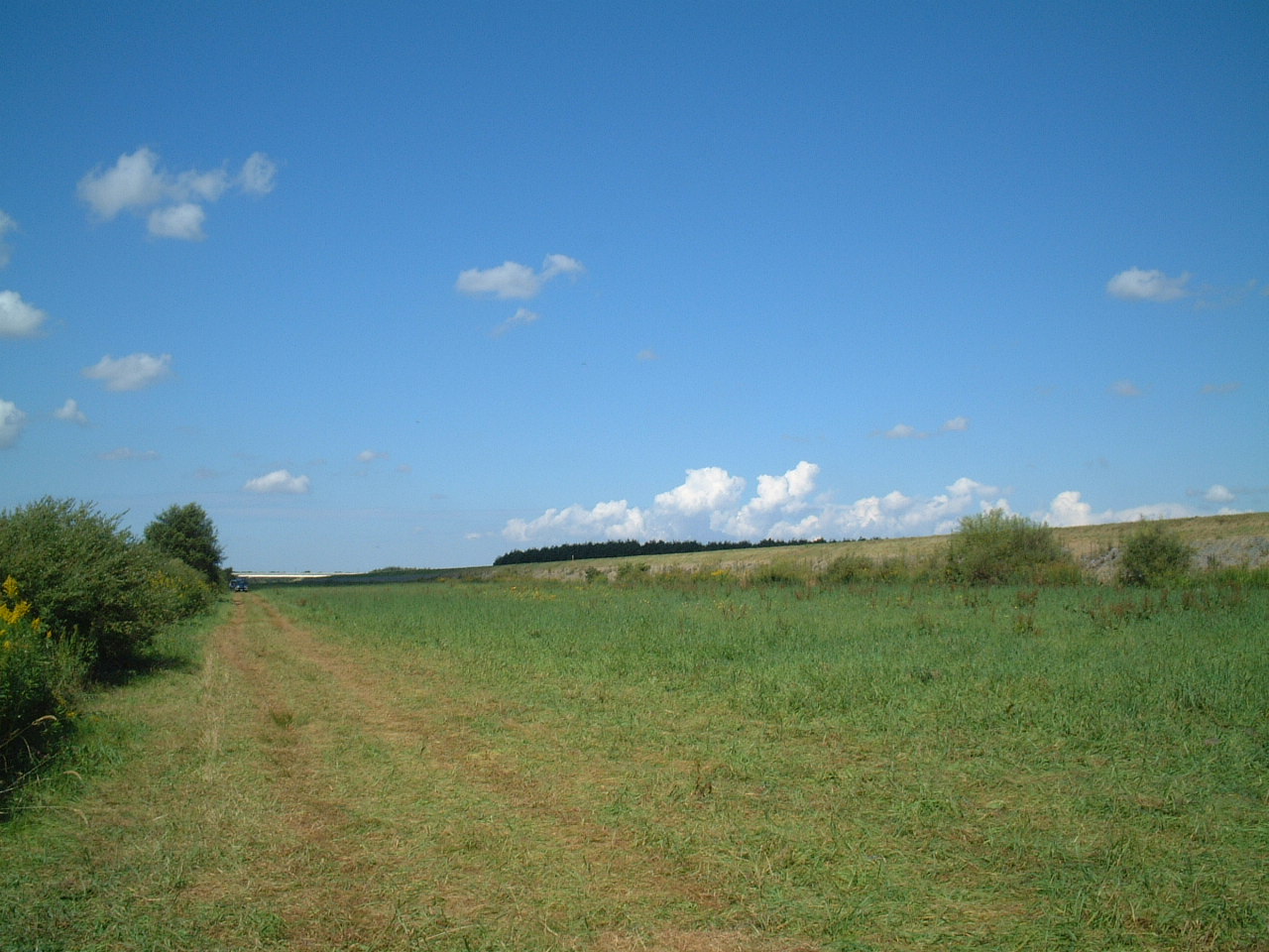 b0072541_2353699.jpg