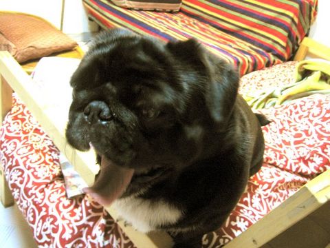 e0018143_0294913.jpg