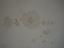 e0018143_18154437.jpg