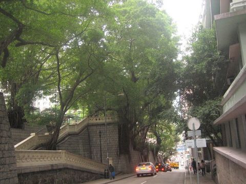 e0018143_19353520.jpg