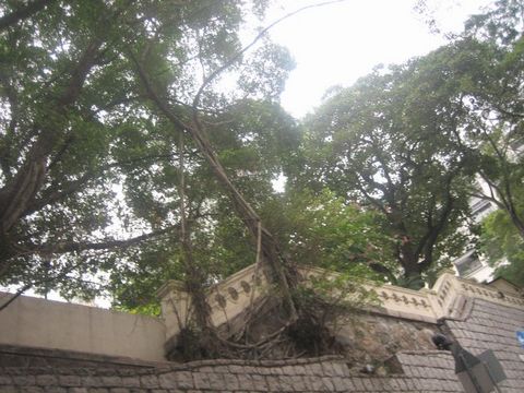 e0018143_19355916.jpg