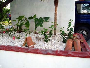 d0065247_2014985.jpg