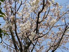 f0056250_23562964.jpg