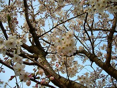f0056250_23574282.jpg