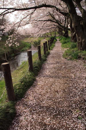 d0021952_055580.jpg