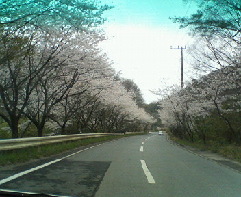 b0071653_18474994.jpg