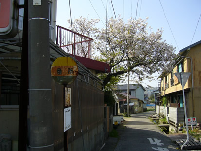 f0067354_2395362.jpg
