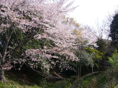b0045357_14452038.jpg