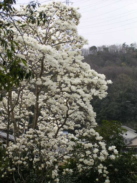 f0074659_22343523.jpg