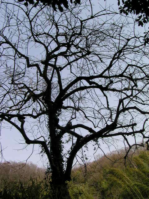 f0074659_2241149.jpg