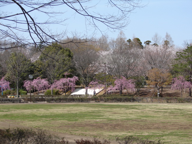 b0061261_20535455.jpg