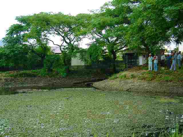 f0062462_21502897.jpg