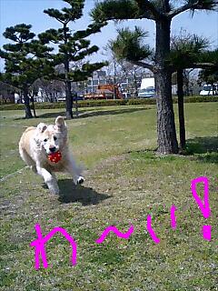 e0091863_049049.jpg
