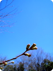 d0018865_012467.jpg