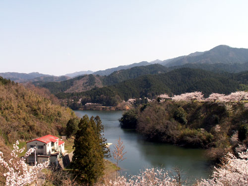 f0104569_1746459.jpg