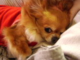 f0052071_10554736.jpg