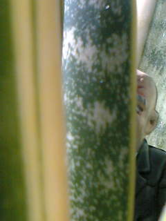 f0100480_13295985.jpg