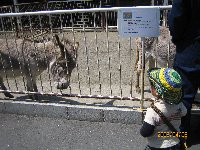 f0046385_15541539.jpg
