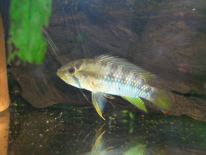 d0054290_0204457.jpg
