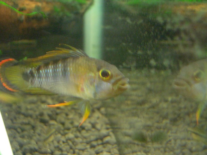 d0054290_0262453.jpg