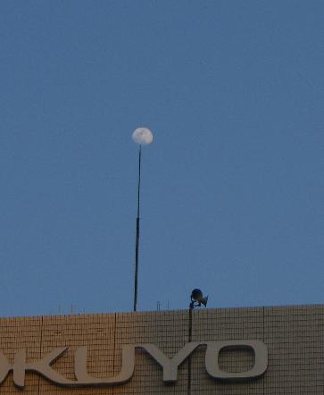 e0077899_7522278.jpg