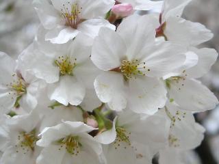 a0018200_11192285.jpg