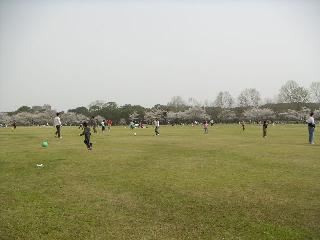 a0018200_11243213.jpg