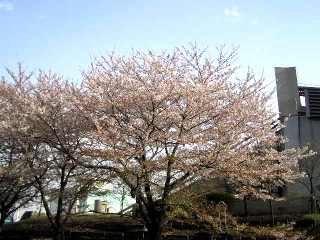 c0054902_023286.jpg