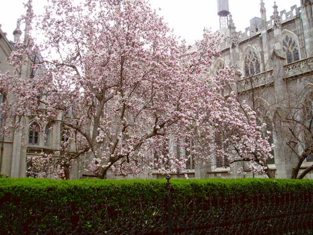 c0037103_12101767.jpg
