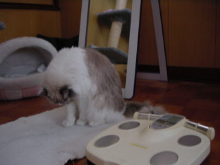 c0024410_1156394.jpg