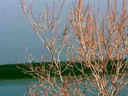 e0001110_67227.jpg