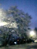 f0006510_12205911.jpg