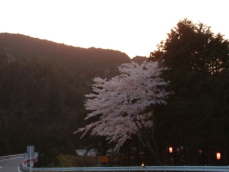 f0068511_22473328.jpg