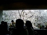 d0024216_23112142.jpg
