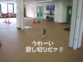 e0080117_2041594.gif