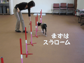 e0080117_2075174.gif
