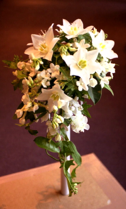 e0080524_742514.jpg