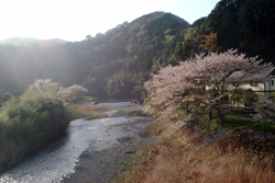 f0060424_14143668.jpg